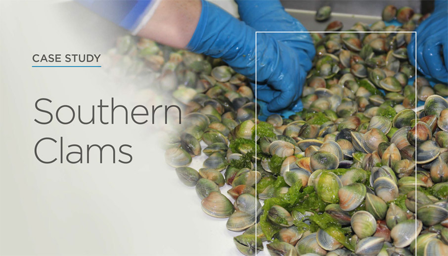 Southern Clams